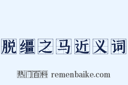 脱缰之马近义词是什么意思的图片